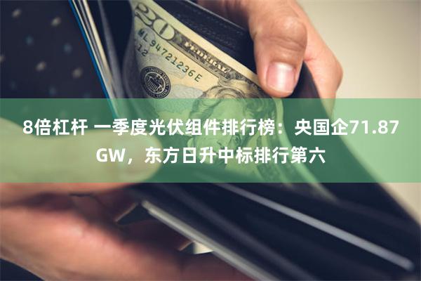 8倍杠杆 一季度光伏组件排行榜：央国企71.87GW，东方日升中标排行第六