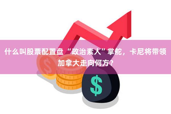 什么叫股票配置盘 “政治素人”掌舵，卡尼将带领加拿大走向何方？