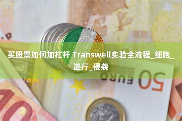买股票如何加杠杆 Transwell实验全流程_细胞_进行_侵袭