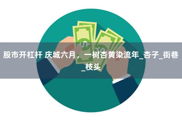 股市开杠杆 庆城六月，一树杏黄染流年_杏子_街巷_枝头